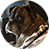 patton